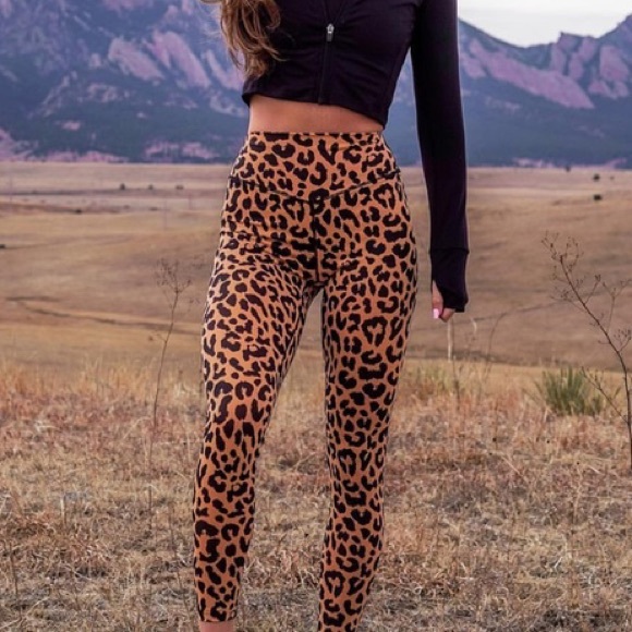 pan flower basque tights